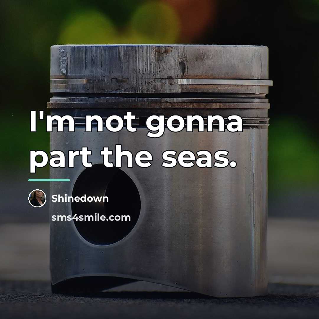 “I'm not gonna part the seas.…” quote by Shinedown