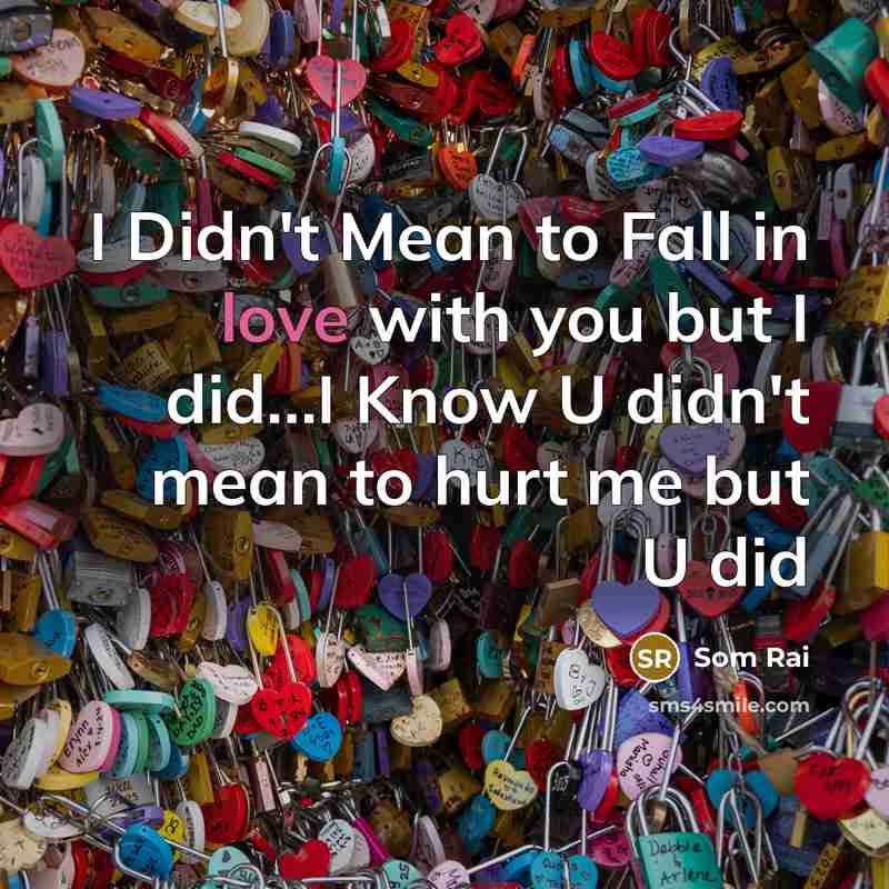 “I Didn't Mean to Fall in love with you but…” quote by Som Rai