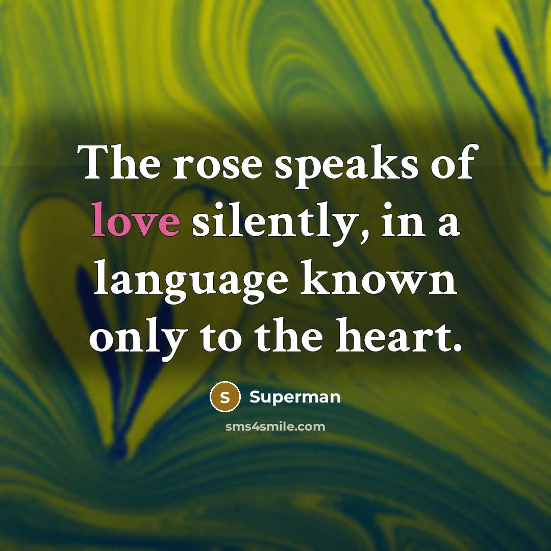 “The rose speaks of love silently, in a language known…” quote by Superman