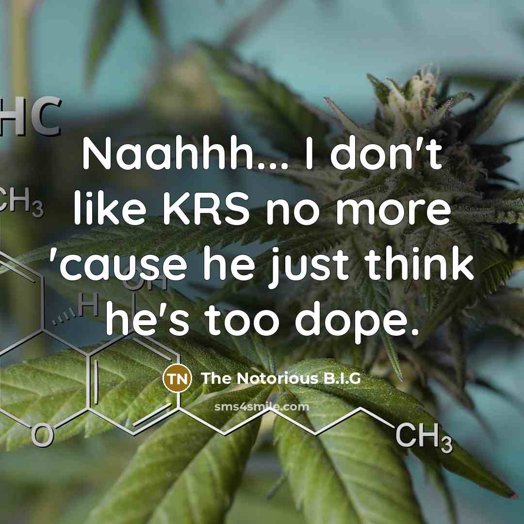 “Naahhh... I don't like KRS no more 'cause he just…” quote by The Notorious B.I.G