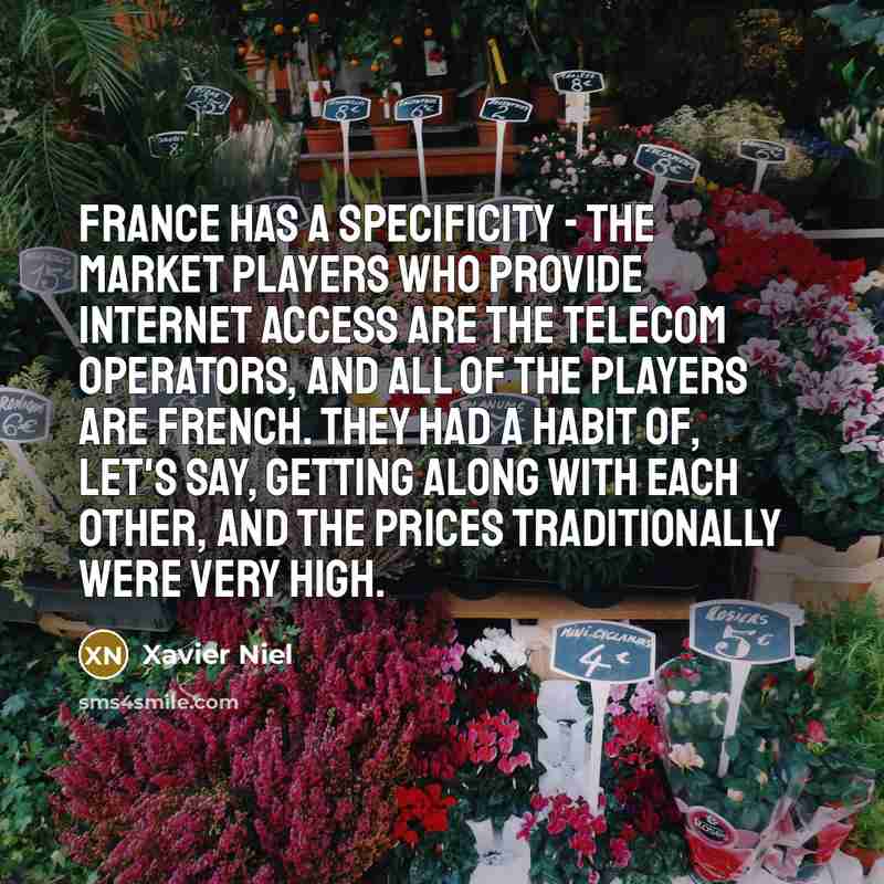 “France has a specificity - the market players who provide…” quote by Xavier Niel