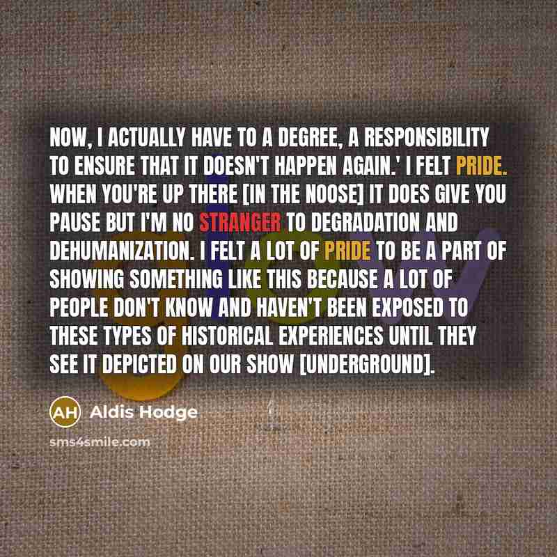 “Now, I actually have to a degree, a responsibility to…” quote by Aldis Hodge