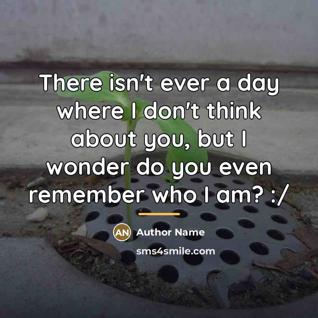 “There isn't ever a day where I don't think about…” quote by Author Name