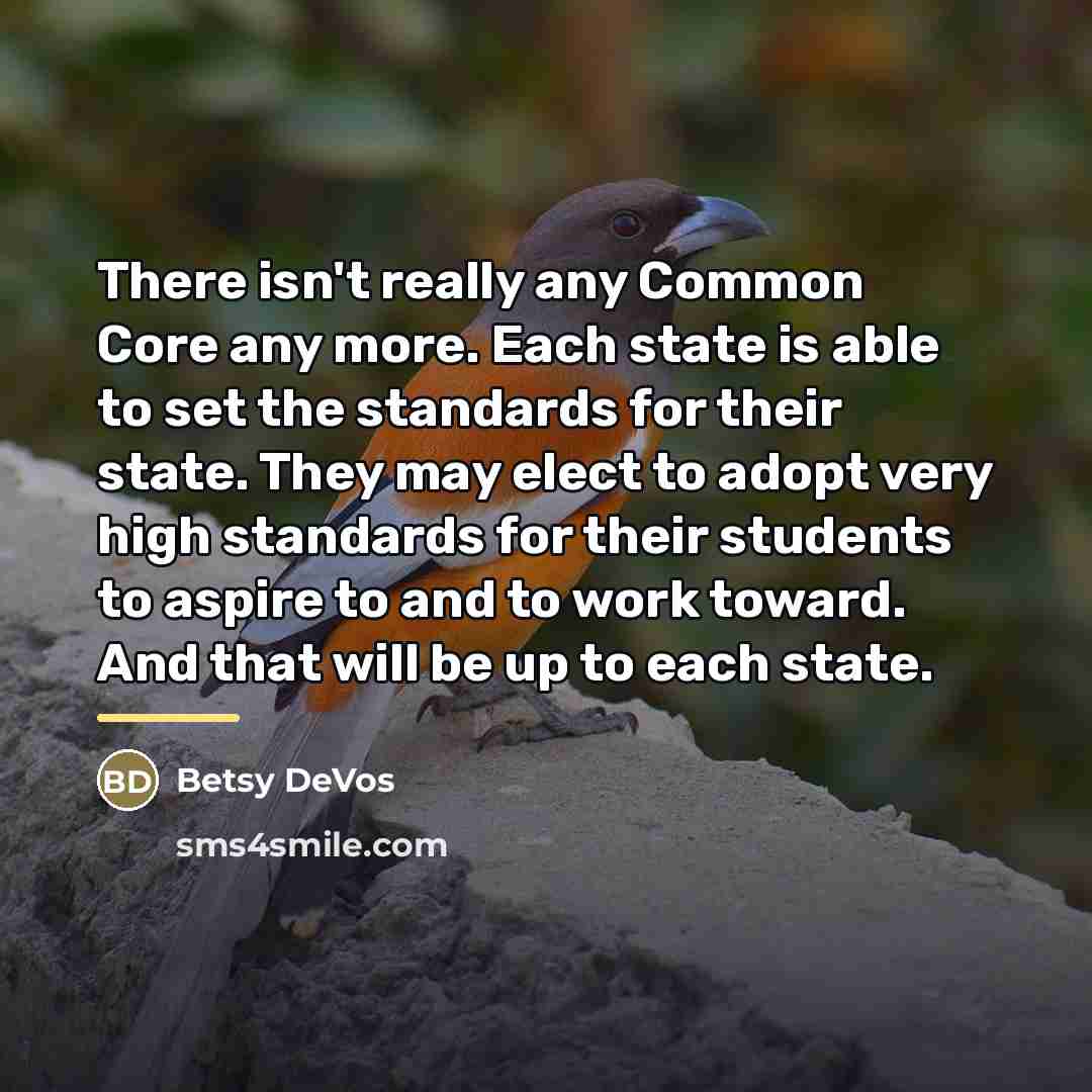“There isn't really any Common Core any more. Each state…” quote by Betsy DeVos