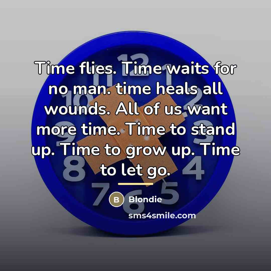 “Time flies. Time waits for no man. time heals all…” quote by Blondie