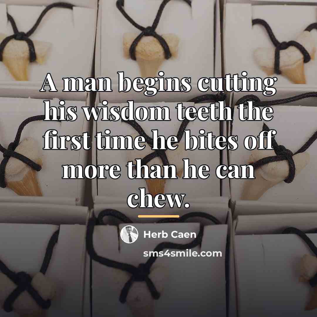 “A man begins cutting his wisdom teeth the first time…” quote by Herb Caen