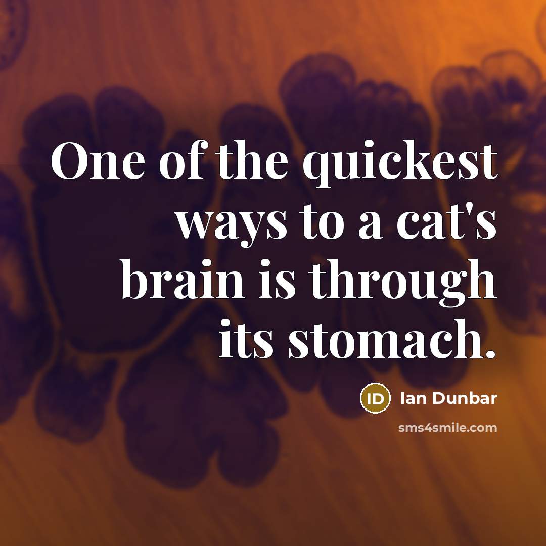 “One of the quickest ways to a cat's brain is…” quote by Ian Dunbar