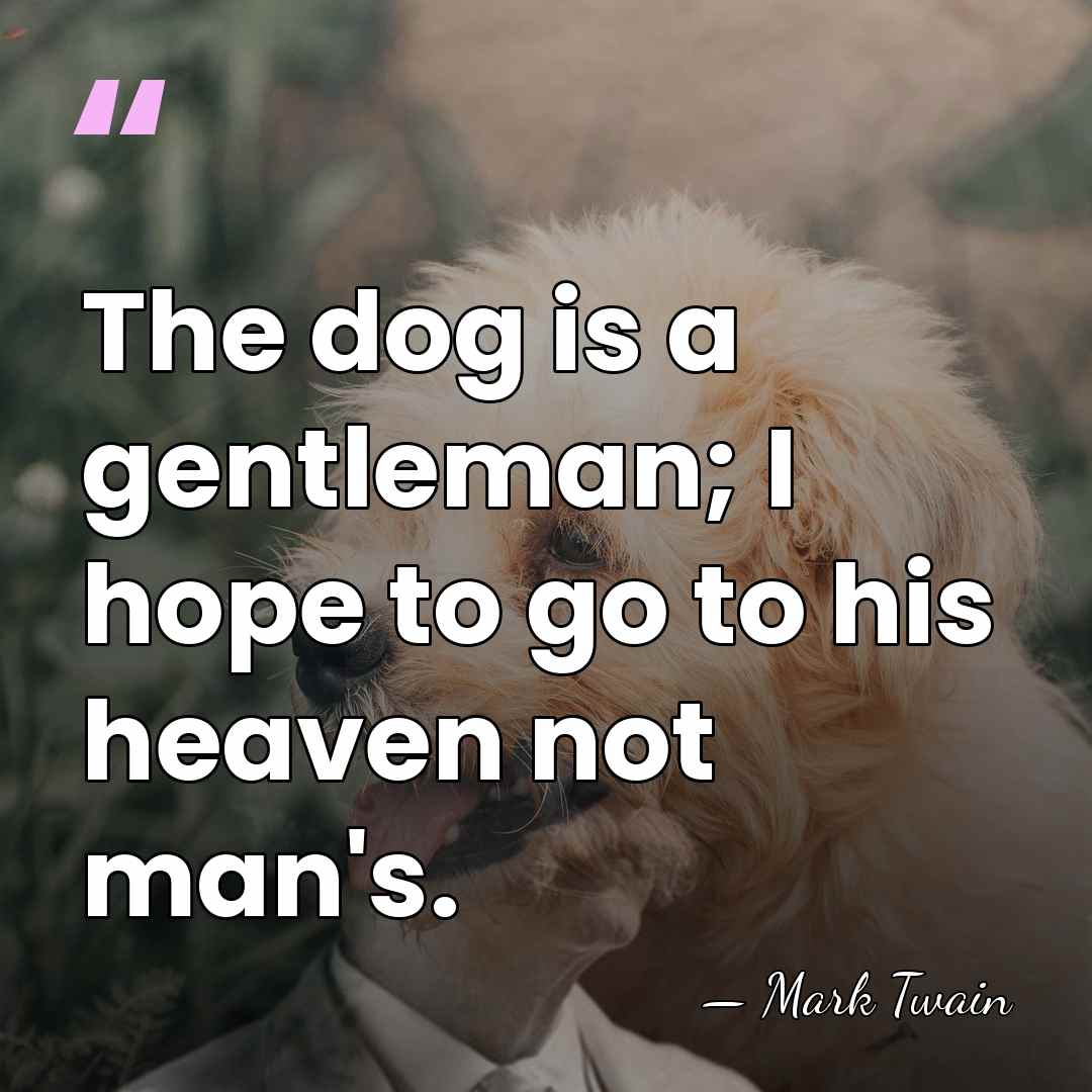 The dog is a gentleman; I hope to go to his heaven&hellip; - Mark Twain