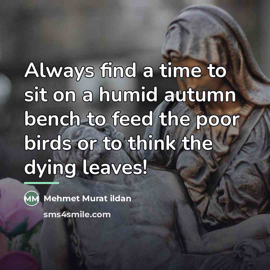 “Always find a time to sit on a humid autumn…” quote by Mehmet Murat Ildan