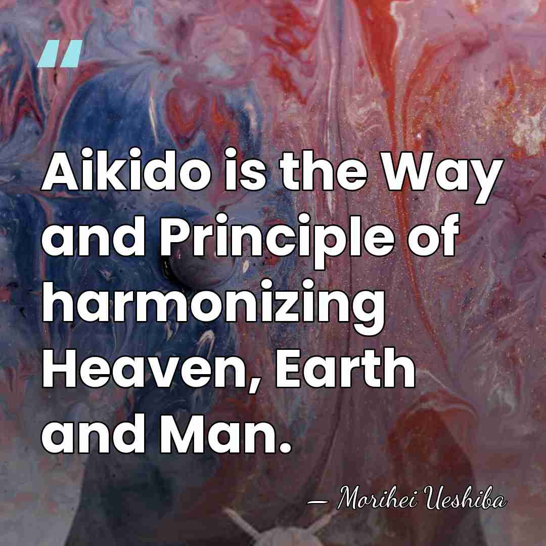 Aikido is the Way and Principle of harmonizing Heaven, Earth and Man. - Morihei Ueshiba