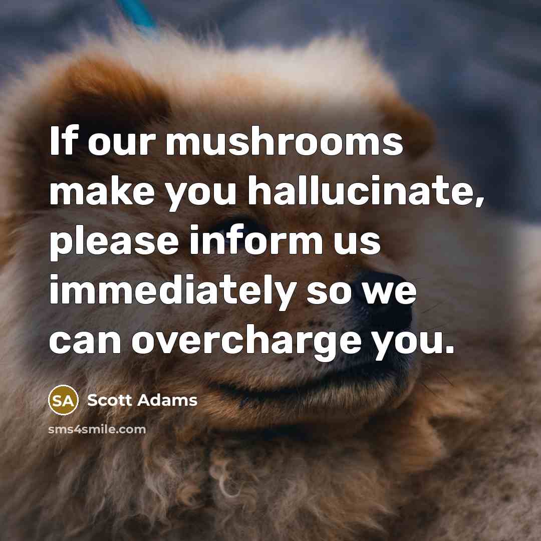 “If our mushrooms make you hallucinate, please inform us immediately…” quote by Scott Adams