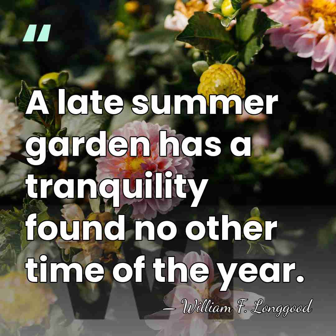 A late summer garden has a tranquility found no other time of&hellip; - William F. Longgood