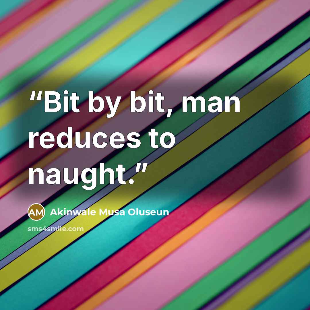 “Bit by bit, man reduces to naught.” quote by Akinwale Musa Oluseun