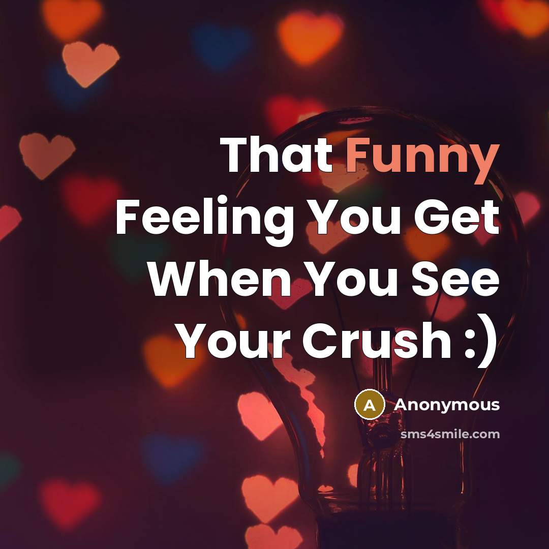 “That Funny Feeling You Get When You See Your Crush :)” quote by Anonymous