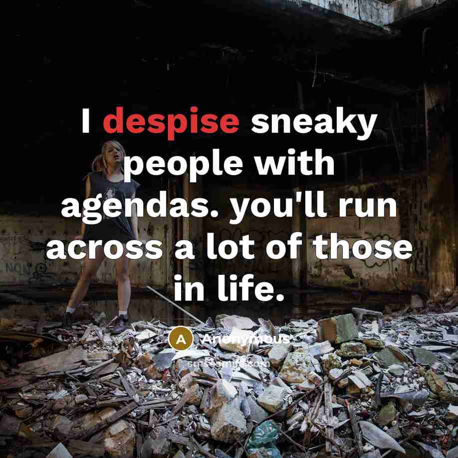 “I despise sneaky people with agendas. you'll run across a…” quote by Anonymous