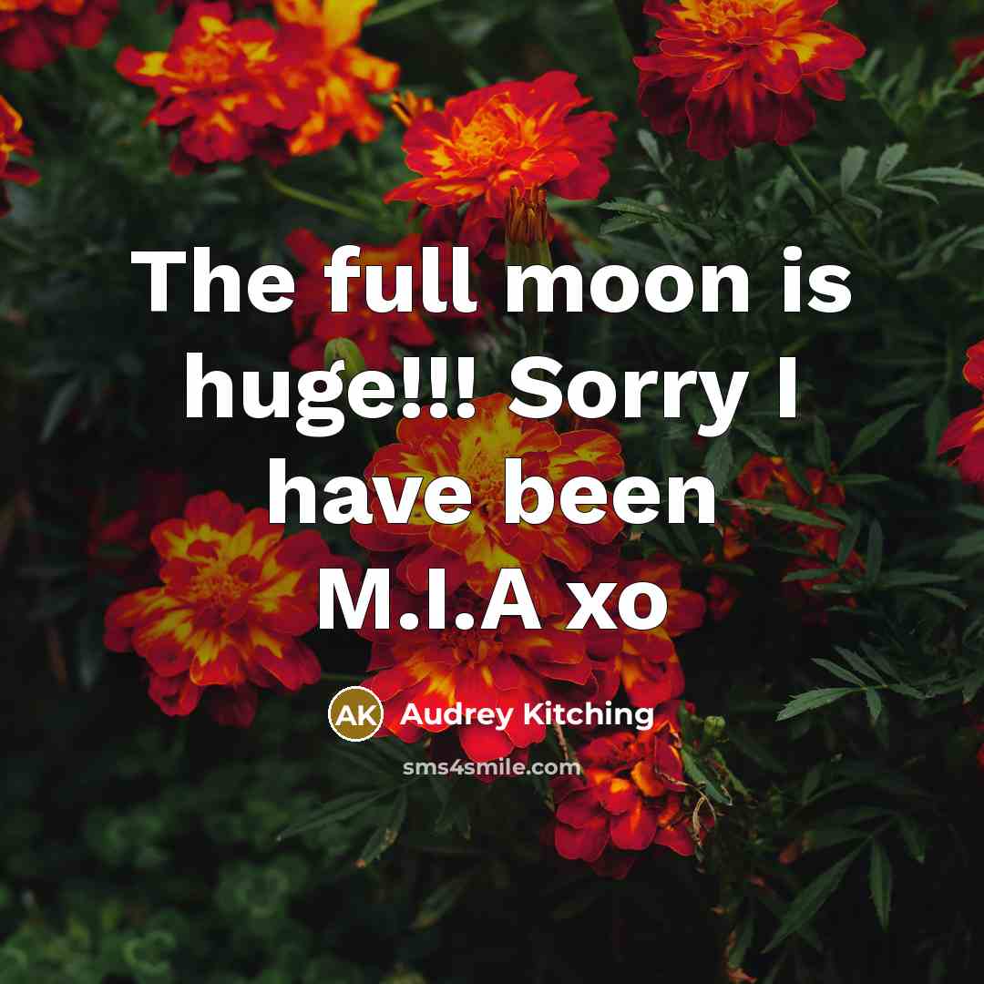 “The full moon is huge!!! Sorry I have been M.I.A…” quote by Audrey Kitching