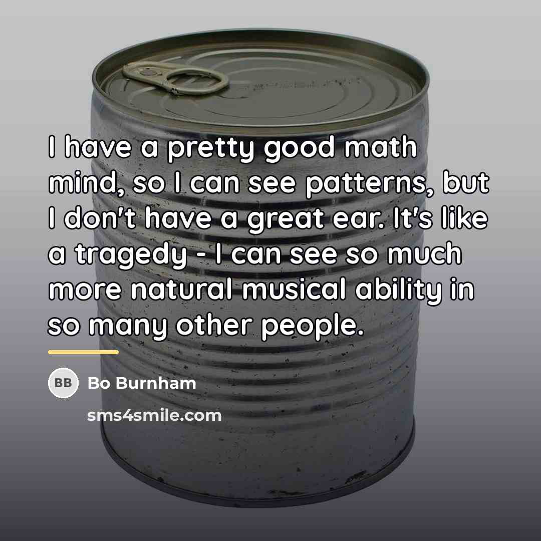 “I have a pretty good math mind, so I can…” quote by Bo Burnham