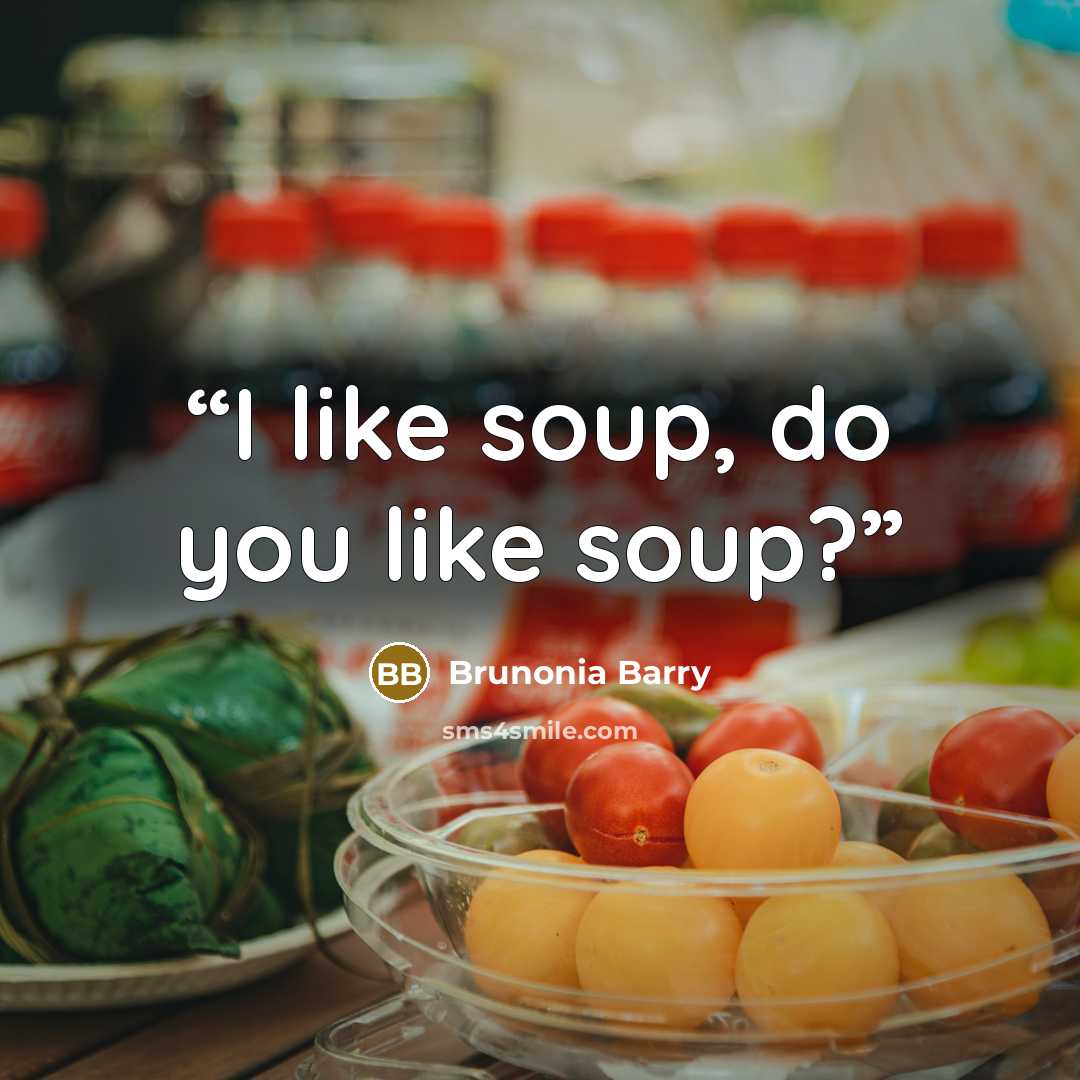 “I like soup, do you like soup?” quote by Brunonia Barry