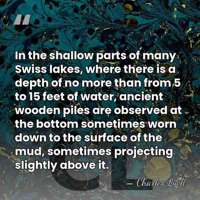 In the shallow parts of many Swiss lakes, where there is a&hellip; - Charles Lyell