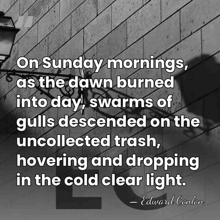 On Sunday mornings, as the dawn burned into day, swarms of gulls&hellip; - Edward Conlon