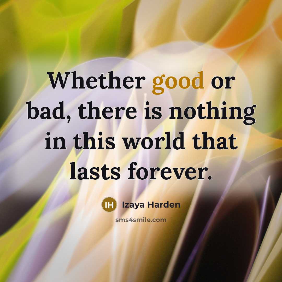 “Whether good or bad, there is nothing in this world…” quote by Izaya Harden