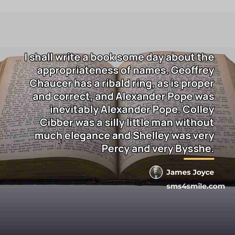 “I shall write a book some day about the appropriateness…” quote by James Joyce