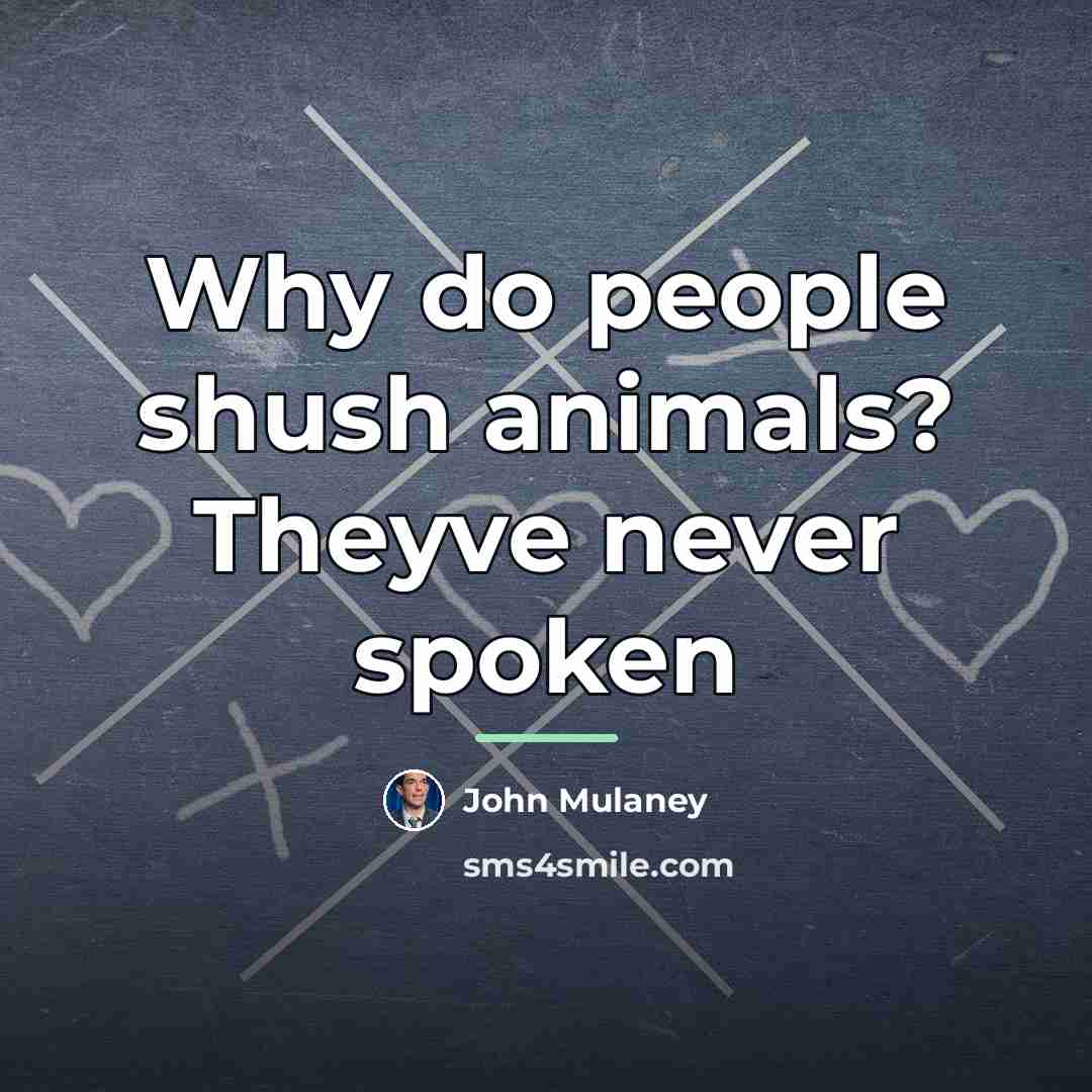 “Why do people shush animals? Theyve never spoken…” quote by John Mulaney