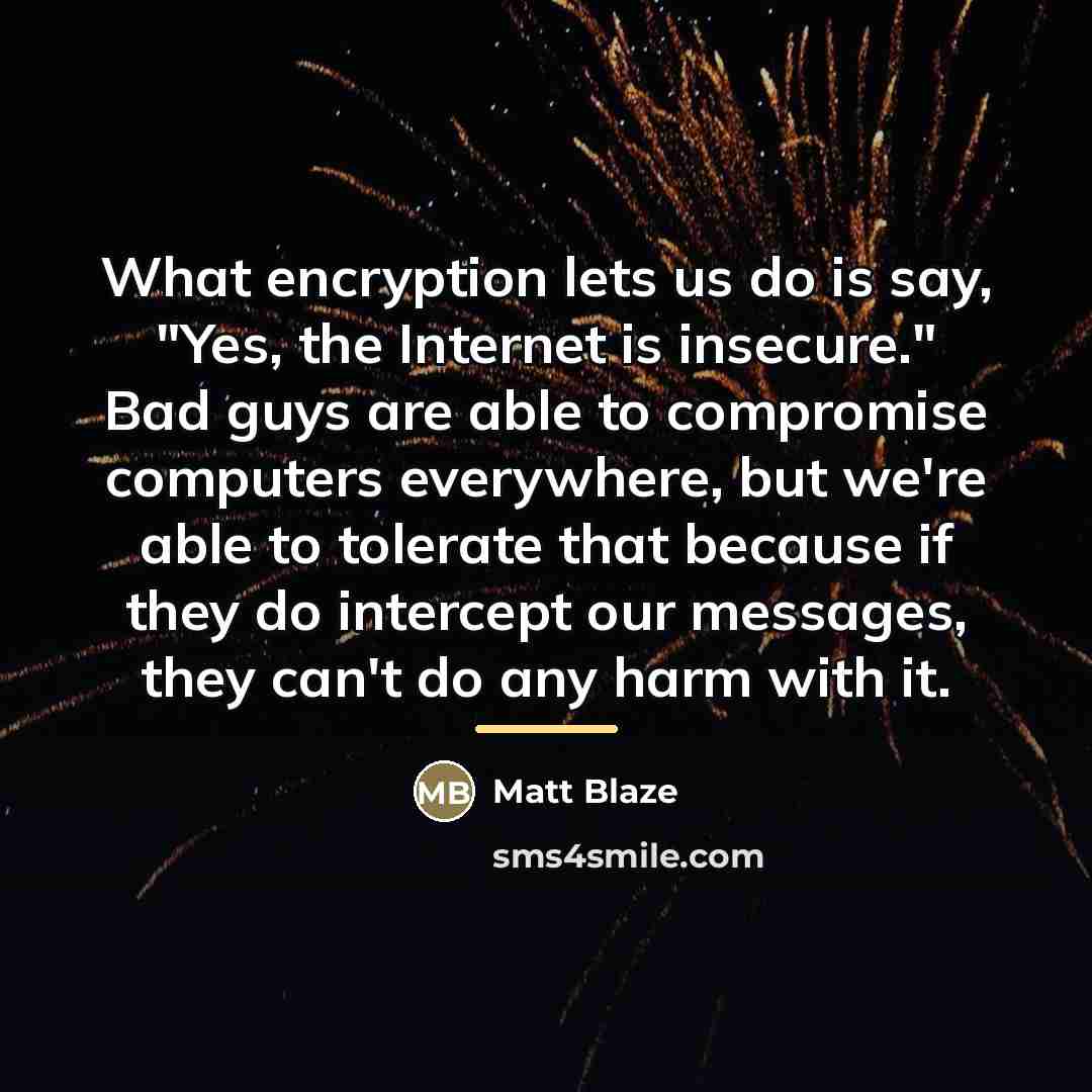 “What encryption lets us do is say, "Yes, the Internet…” quote by Matt Blaze