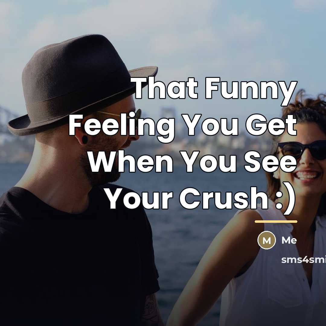 “That Funny Feeling You Get When You See Your Crush…” quote by Me