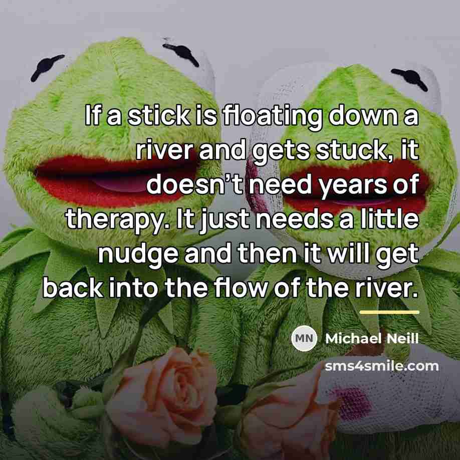 “If a stick is floating down a river and gets…” quote by Michael Neill