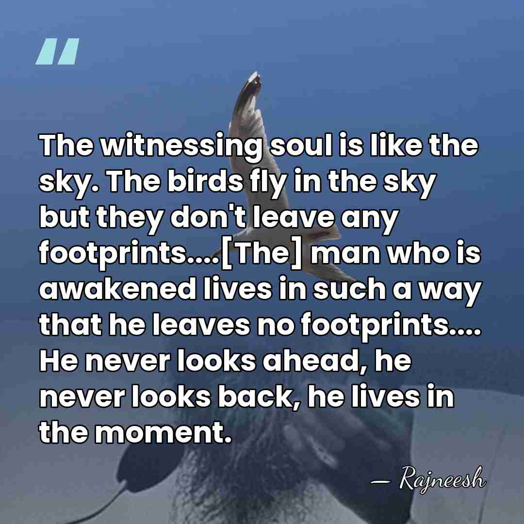The witnessing soul is like the sky. The birds fly in the&hellip; - Rajneesh