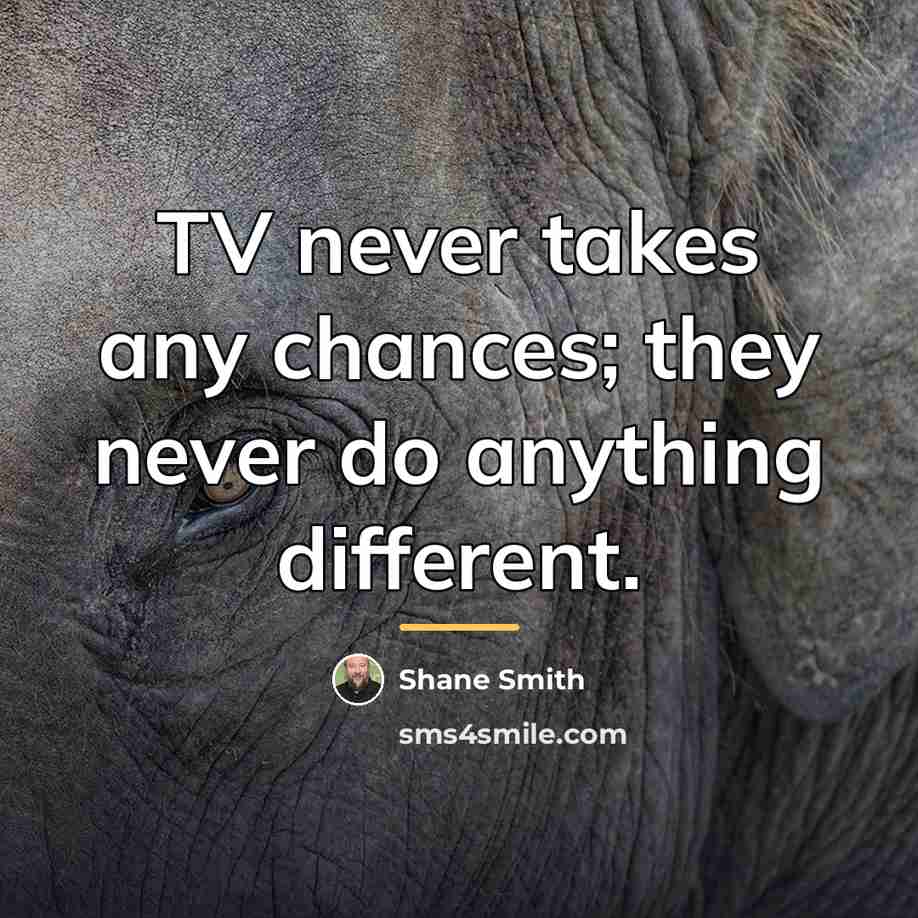 “TV never takes any chances; they never do anything different.…” quote by Shane Smith