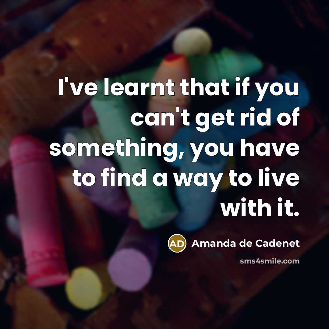 “I've learnt that if you can't get rid of something,…” quote by Amanda de Cadenet