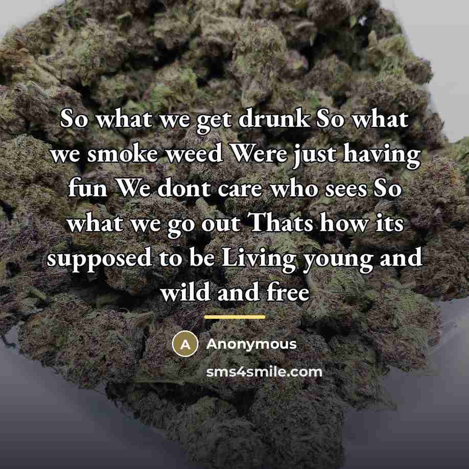 “So what we get drunk So what we smoke weed…” quote by Anonymous