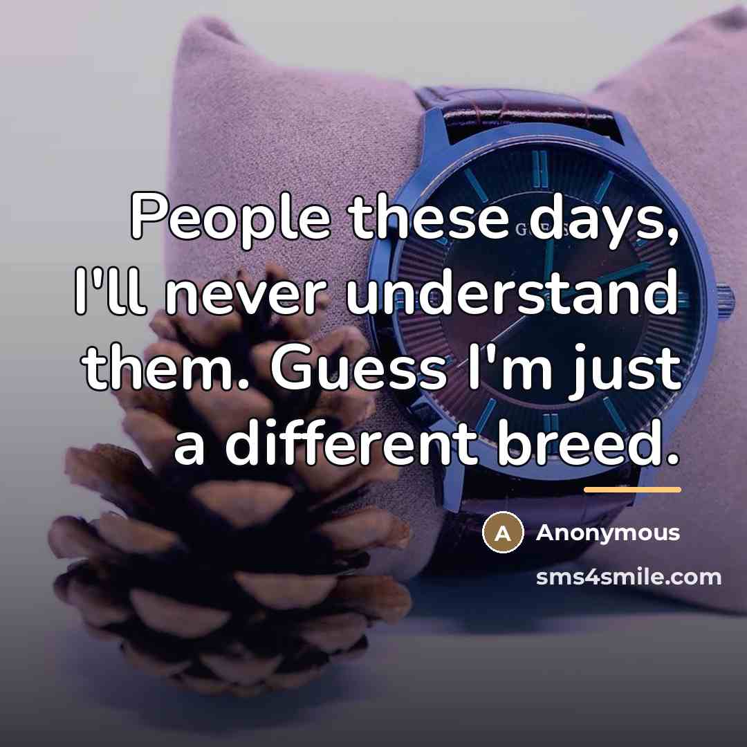“People these days, I'll never understand them. Guess I'm just…” quote by Anonymous