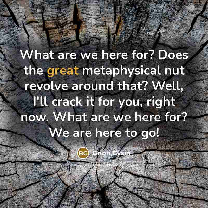 “What are we here for? Does the great metaphysical nut…” quote by Brion Gysin