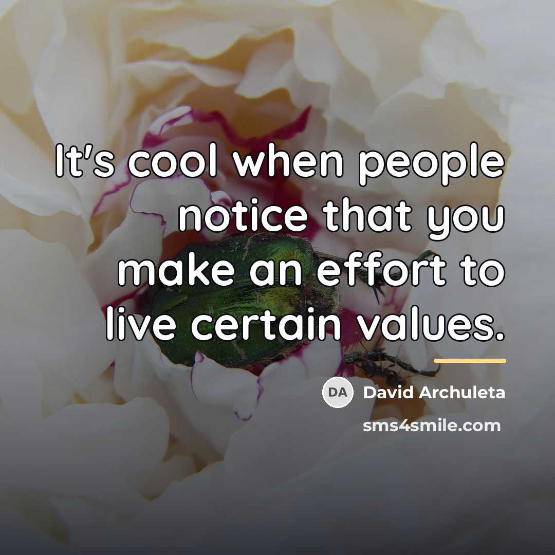 “It's cool when people notice that you make an effort…” quote by David Archuleta