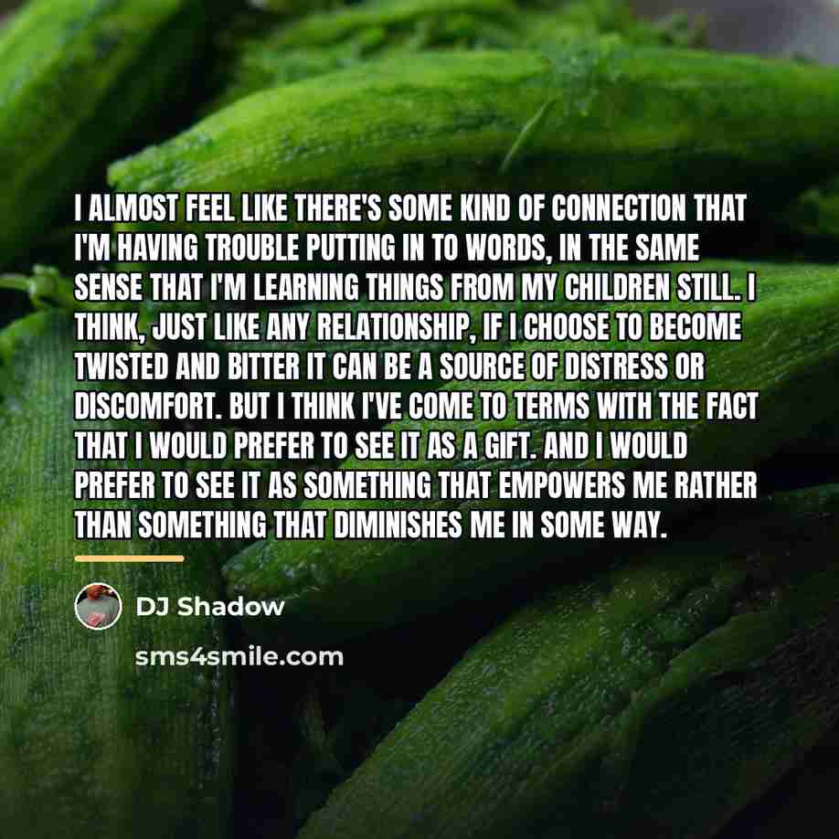 “I almost feel like there's some kind of connection that…” quote by DJ Shadow