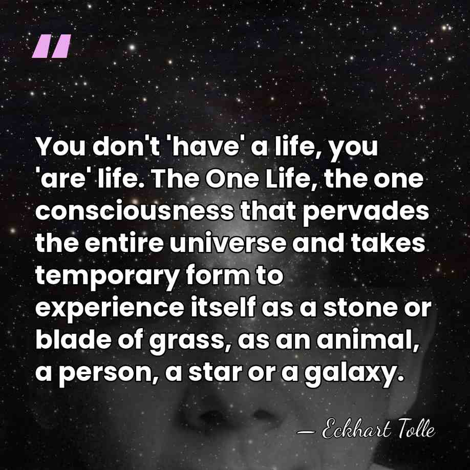 You don't 'have' a life, you 'are' life. The One Life, the&hellip; - Eckhart Tolle