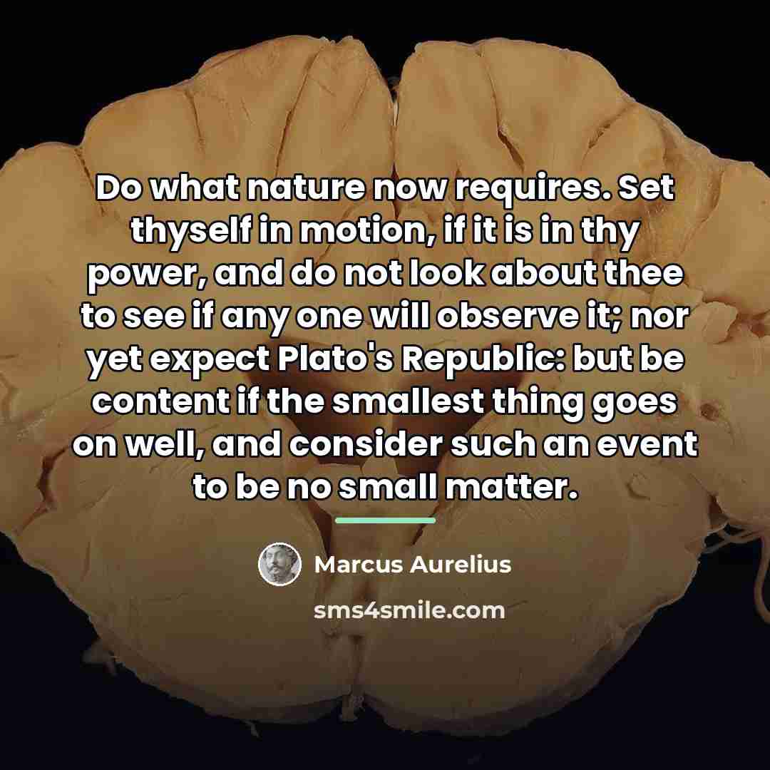 “Do what nature now requires. Set thyself in motion, if…” quote by Marcus Aurelius