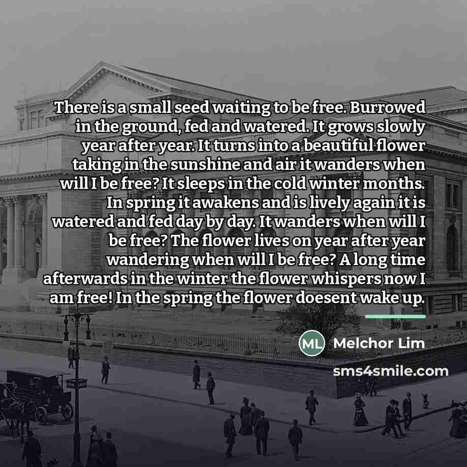 “There is a small seed waiting to be free. Burrowed…” quote by Melchor Lim