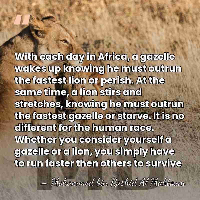 With each day in Africa, a gazelle wakes up knowing he must&hellip; - Mohammed bin Rashid Al Maktoum