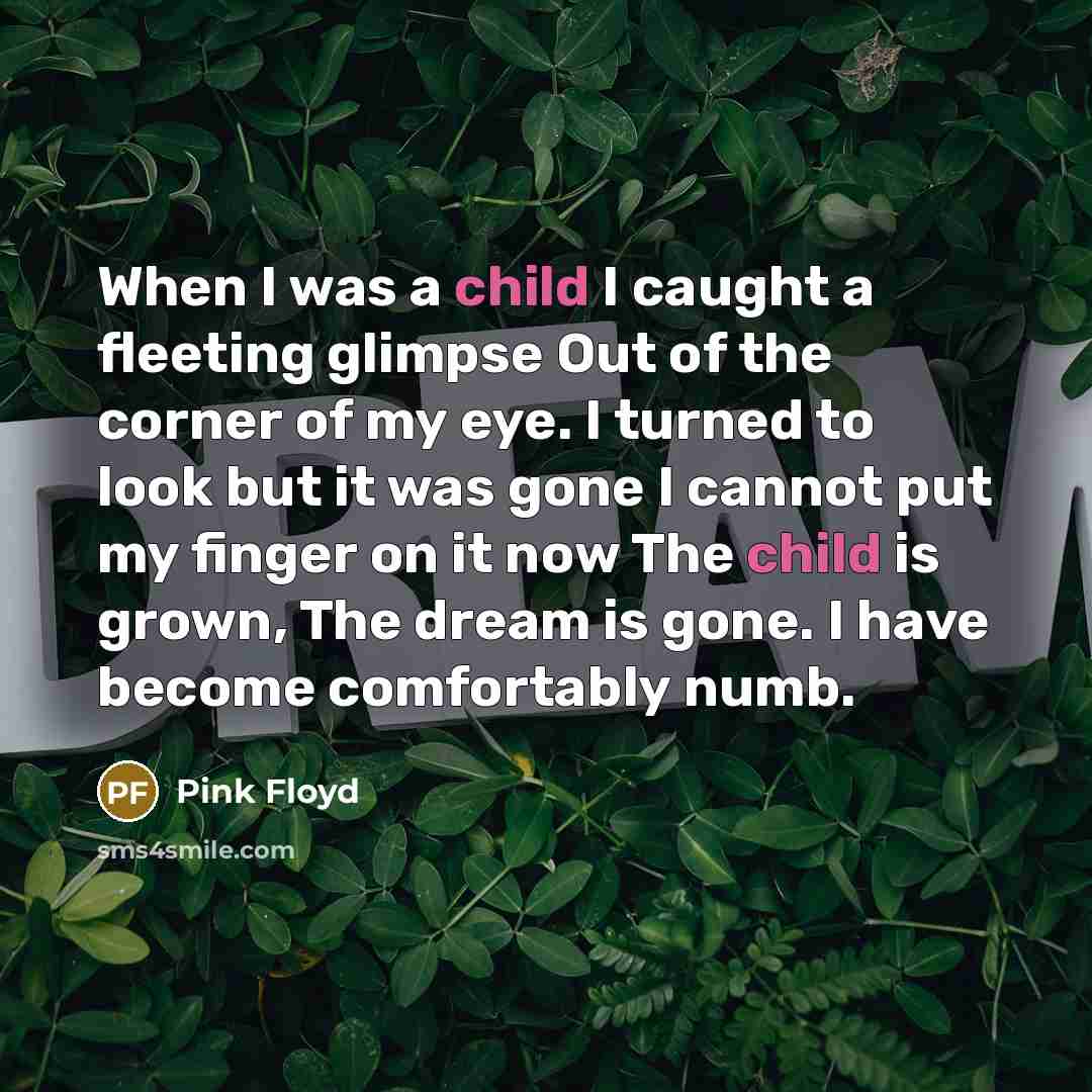 “When I was a child I caught a fleeting glimpse…” quote by Pink Floyd