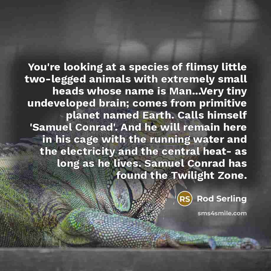 “You're looking at a species of flimsy little two-legged animals…” quote by Rod Serling