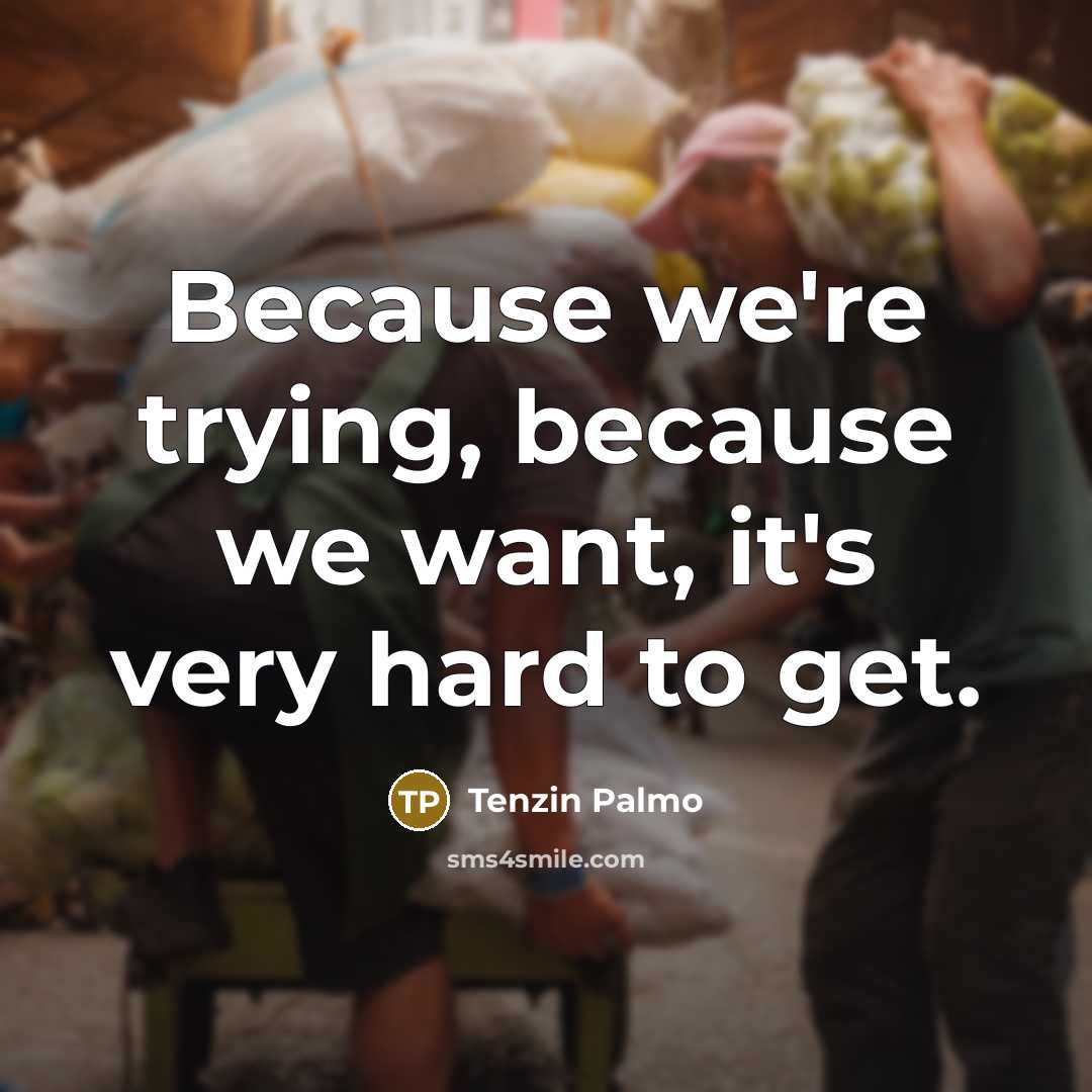 “Because we're trying, because we want, it's very hard to…” quote by Tenzin Palmo