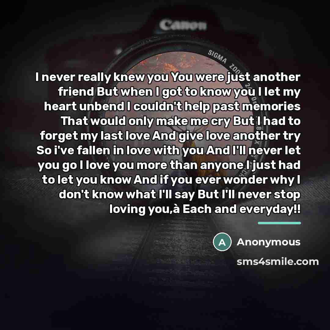 “I never really knew you You were just another friend…” quote by Anonymous