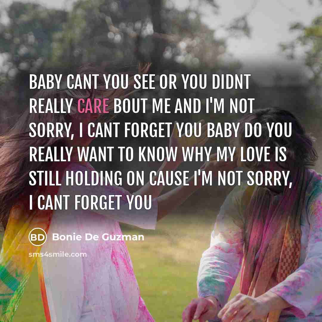 “Baby cant you see or you didnt really care bout me and I'm not sorry, I cant forget you baby do you really want to know why my love is still holding on cause I'm not sorry, I cant forget you” quote by Bonie De Guzman