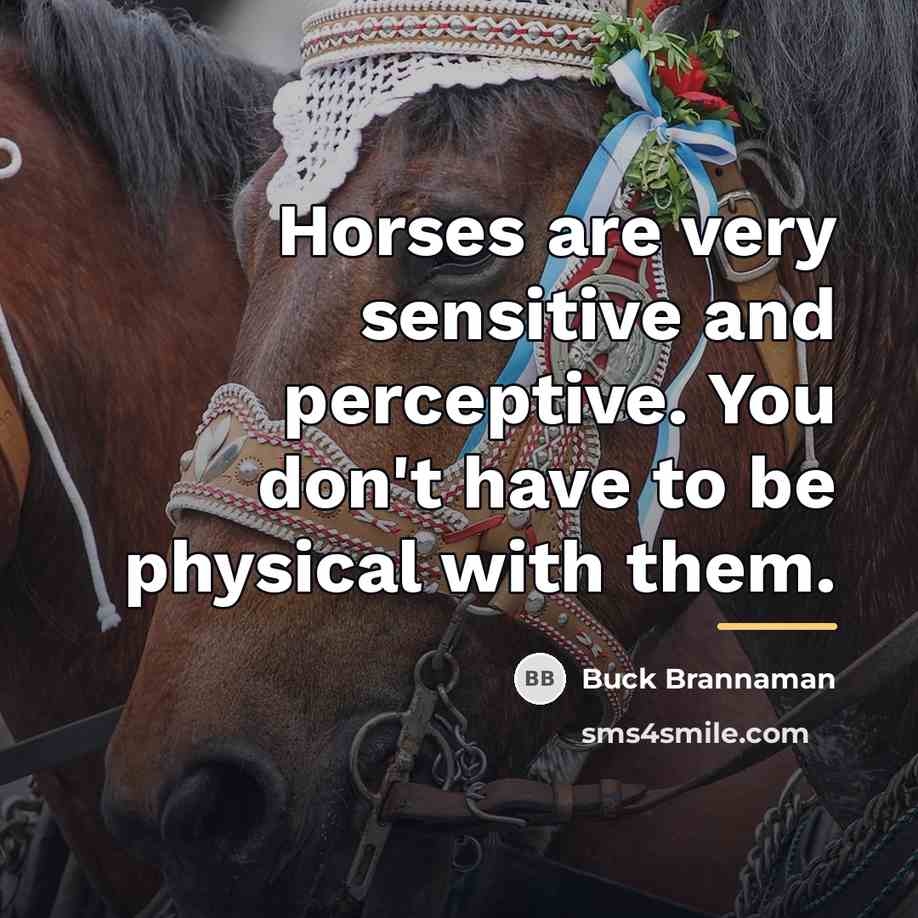 “Horses are very sensitive and perceptive. You don't have to…” quote by Buck Brannaman