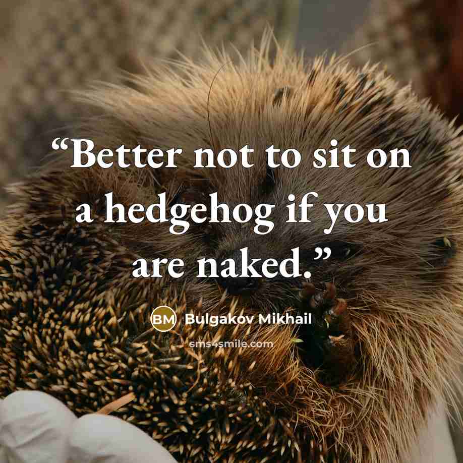 “Better not to sit on a hedgehog if you are naked.” quote by Bulgakov Mikhail
