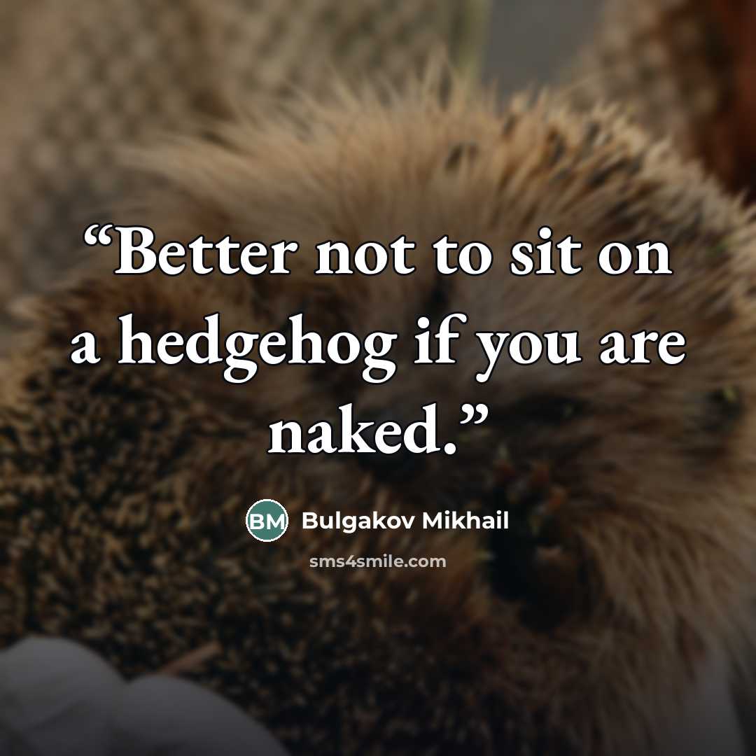 “Better not to sit on a hedgehog if you are naked.” quote by Bulgakov Mikhail